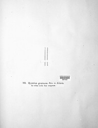 Lophodermium gramineum image